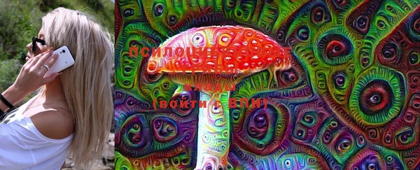 MESCALINE Аркадак